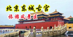 大鸡巴配小比视频中国北京-东城古宫旅游风景区